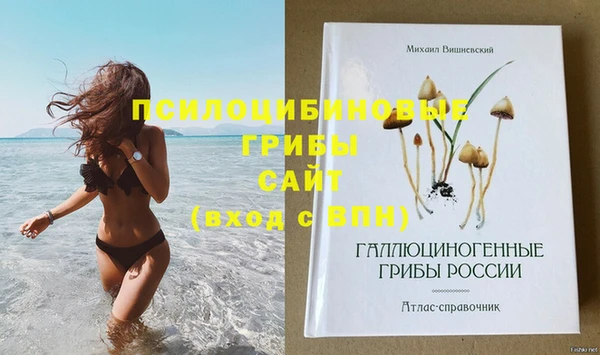 спайс Вяземский