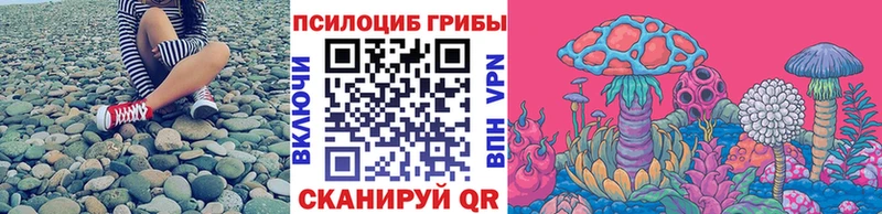 Псилоцибиновые грибы мицелий  сколько стоит  Зубцов 